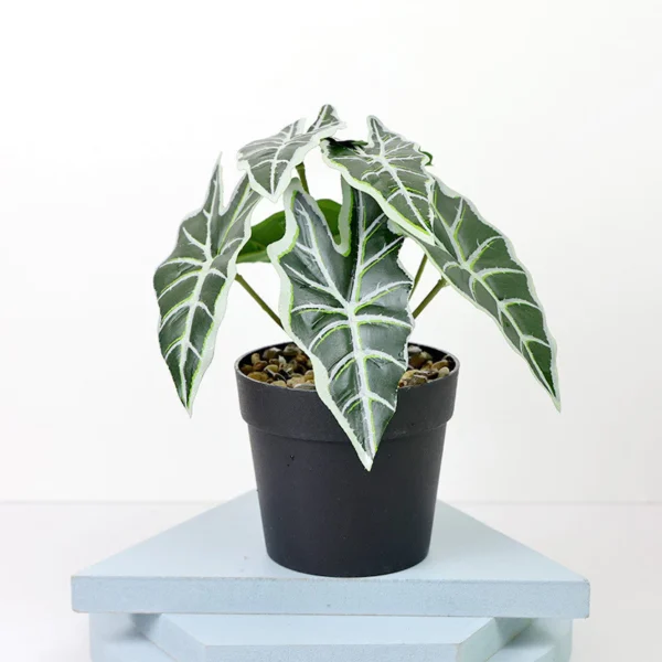 Ins Simulation Green Plants Artificial Potted Plants Desktop Greenery Ornament Home Decor